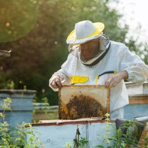 SSUCv3H4sIAAAAAAAACoRUy27cIBTdV+o/jFjXKm/b2WXZRaSqXXRRdYGBmUGDjWVwqijKvxc/8OBJk+zMOdf3cS6H58+fDgfQCG8kuDs8T6d4NtaOPgwiGNdFGH5Z8UF3Sg858jgQDnNAKxPcYITNwUYEee5EqyPYjdZO8MtMAh9EGL32WXV/HkPQgw9OXiJMUhahXKNfoQiT4ZgDatCi9cHM1a6o7p03oT+74HxONOY055yZnOhdp1gOSNHtItHWmBXt0wRkc0kR9CkKsZss6fx7OR8SsaYPkQL3nWmF9V9/GausOWqwVlmkGZsp5lvntQweJGap+UbC79r19r9pHoyX2lrRaTdmyZaPP9t0J93Jabznl2y+QVstlr2t0wBUw1qyEheKIl3QSh2LqkGoaOSR1A0RskZ4rrKkBpe/ccvtrM+aVIzKuEyvRyejFNMOssr9YKTpTtlvLpznW5l+k27swjC1DFDJ0uRRj1YPonVKT5cT/HTd0+G+/PFAtgjrXC+aKNbd4RgL64Sfhfcxp0p4vudoFNdmzXQuzKqAJStQ8SLMnRBckhLSipAaMhp1ArkDzibmmXtOU4y9dULpqei21VtvII5rVFNW1dt69zZZAzhMlzVzzMbRK7czzxbAsoAbH6UYhK8xt5baYrI8yV2Jw/zKvTLaGkPSg5J7LnF8oZIVpjvemqjVXr/b2Sn6eDSaXoA39eeUfzw95+/vqMbk3T0wzKq39GMVx+v8u7c1FjAqf4HS/FE/ffHDUyPsxWEEKwgh4psRbqUAtOacoAqul/a1EgBDzDFiJYJbyK0SgBIIOWbk6ridEIAyRCoMq2uVnQ4A45JxRsm10SQDQNEDFaOxwUwAMy0fIBVvXsV0oXTdFBRBWAhU8qKCqkICllwJGf96+QcAAP//AwBr/KsbDAcAAA==